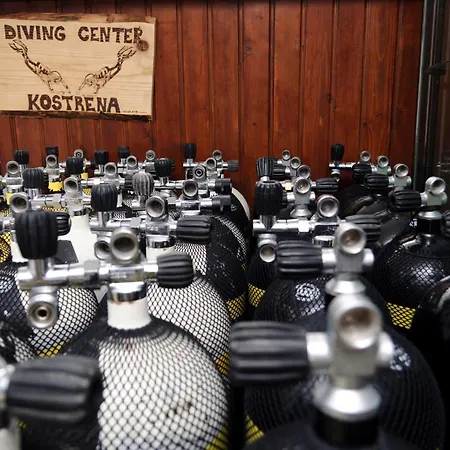 Dck Bed & Breakfast 2*